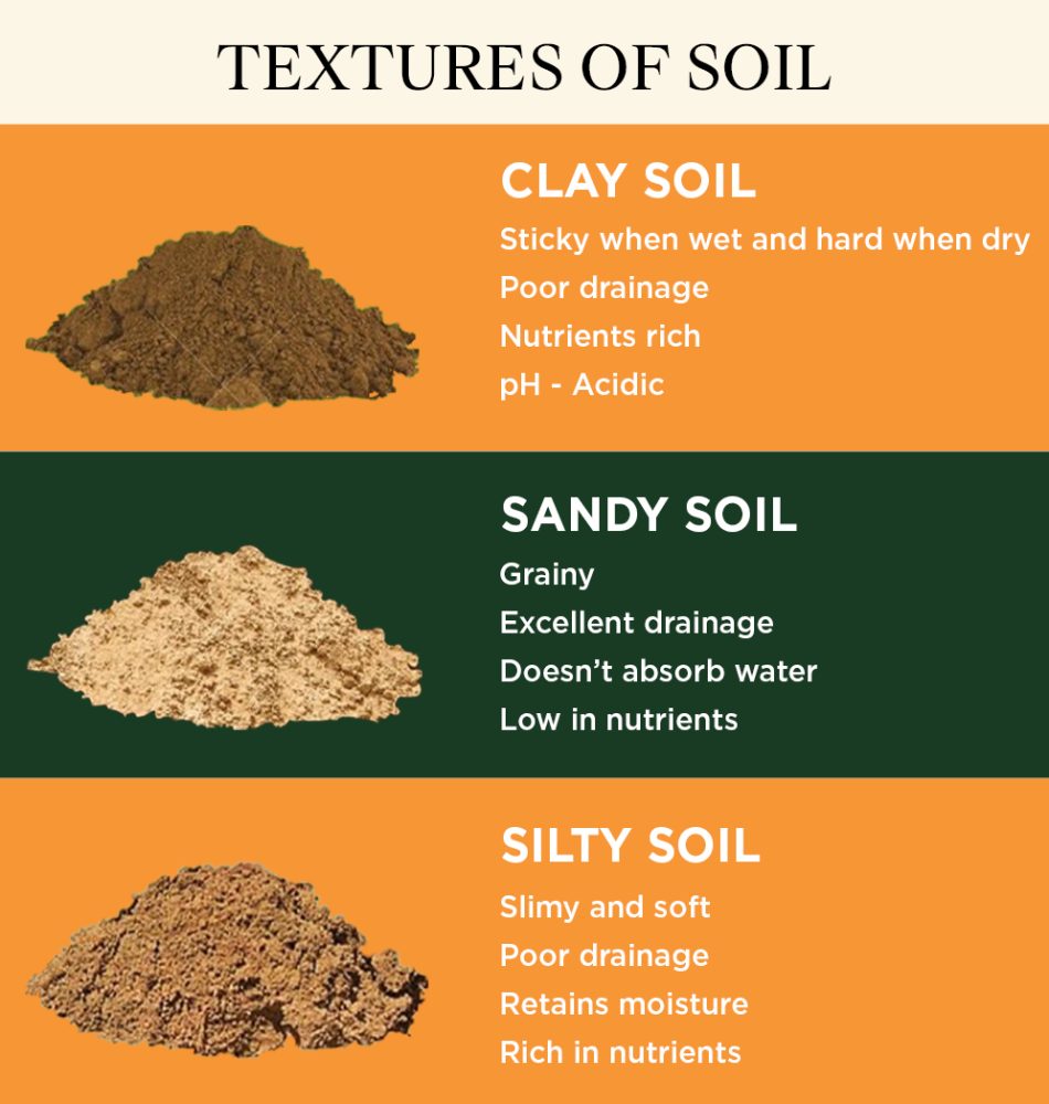 TEXTURES-OF-SOIL